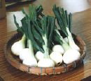 niina-santachi-onions.jpg