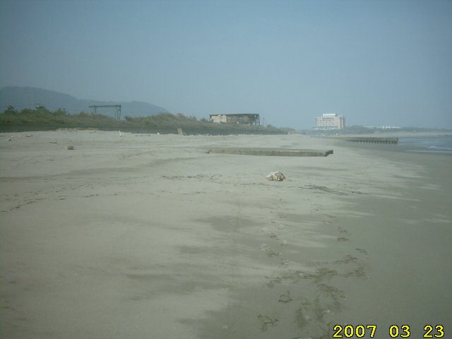 sea-turtle-asahigaoka-totoro-beach-by-ahner-eikaiwa-productions-howard-march-23-2007-nobeoka-7.jpg