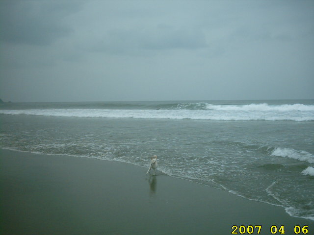 whitey-nagahama-beach-nobeoka-surfing-whitey.jpg