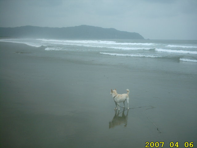 whitey-profile-nagahama-beach-nobeoka-surfing-whitey.jpg