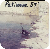 patience-ahner-1989-santa-ana-riverbed-california.jpg